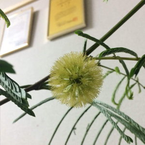 お客様の物件を守る総合パートナーのプロ集団！柏優メンテナンス