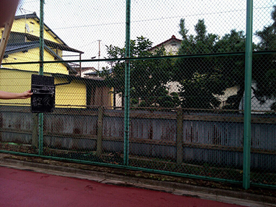 実績一覧｜某学校法人様　剪 定｜株式会社柏優メンテナンス